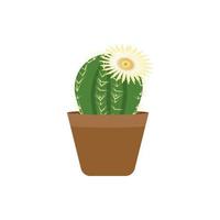 Cactus and white flower color vector icon