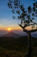 Majestic mountains landscape under morning sky with clouds,Alone tree on a hill slope. photo