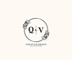 initial QV letters hand drawn feminine and floral botanical logo suitable for spa salon skin hair beauty boutique and cosmetic company. vector