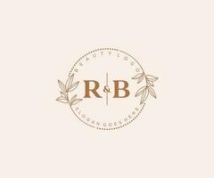 initial RB letters Beautiful floral feminine editable premade monoline logo suitable for spa salon skin hair beauty boutique and cosmetic company. vector