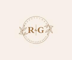 initial RG letters Beautiful floral feminine editable premade monoline logo suitable for spa salon skin hair beauty boutique and cosmetic company. vector