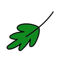 drawing of green leaf on white background. Vector illustration