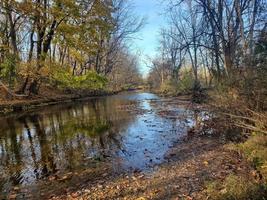 Creek nature scene photo