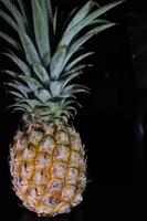 Pineapple fruit isolated on black background with reflection in its shadow. photo