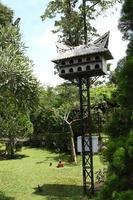 bogor Indonesia abril 2023 Paloma pájaro jaula con un tradicional casa modelo desde padang foto