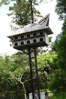 Bogor Indonesia April 2023 Pigeon bird cage with a traditional house model from Padang. photo