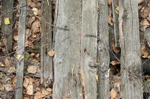 Old wooden planks with dry leaves. Soft focus nature background. Autumn picture. photo