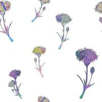 Flowers with watercolor texture. Watercolor field flowers. Flowers pattern on white background. photo