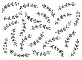 contorno flor con hojas vector conjunto
