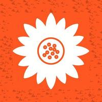 Sunflower Vector Icon