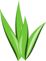 herbe clipart. herbe transparent Contexte png