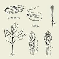 incienso, mancha palo. ilustración de sabio, seco blanco sabio, palo santo sagrado árbol, incienso palos, aromaterapia y fumigación, espiritual practicas dibujado a mano ilustración vector