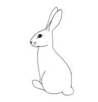 Hand drawn black line vector drawing. Cartoon hare, easter bunny isolated on white background. For the design of children's coloring, stickers, labels. Wildlife, forest animals