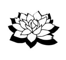 Freehand drawn black outline vector lotus flower with shadow isolated on a white background. Oriental medicine, health, care.