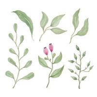 planta hojas pintado con acuarelas, mano dibujado acuarela vector ilustración para saludo tarjeta o invitación diseño