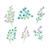 hermosa acuarela floral rama, mano dibujado acuarela vector ilustración para saludo tarjeta o invitación diseño
