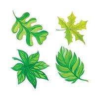 Set of autumnal watercolor leaves, hand drawn watercolor vector illustration for greeting card or invitation design