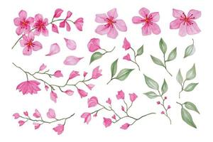 Blooming sakura branches, hand drawn watercolor vector illustration for greeting card or invitation design