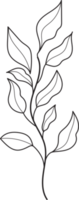 Hand drawn curly grass and flowers png