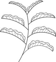 Hand drawn curly grass and flowers png