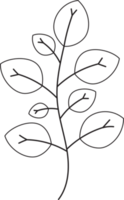 Hand drawn curly grass and flowers. png