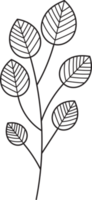 Hand drawn curly grass and flowers. png