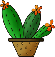 cactus dibujo aislado png