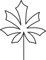 Leaf drawing isolated png