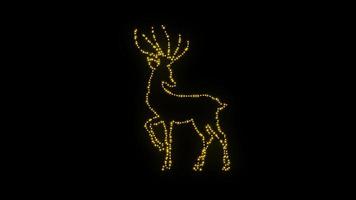 deer neon icon loop Animation video transparent background with alpha channel.