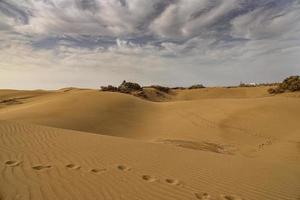 verano Desierto paisaje en un calentar soleado día desde maspalomas dunas en el Español isla de gran canaria foto