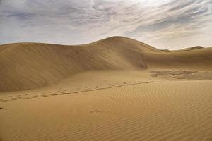 summer desert landscape on a warm sunny day from Maspalomas dunes on the Spanish island of Gran Canaria photo