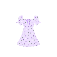 Floral Dress. Clothes. png