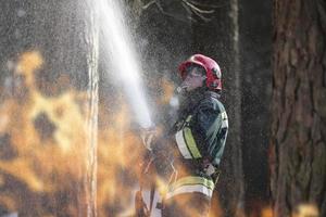 Firefighters extinguish a fire. A firefighter in a forest on fire. photo