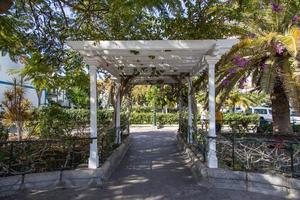 floral decoration in Puerto de Mogan, Gran Canaria, Spain photo