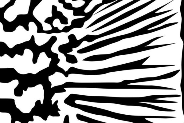 Artistic Motifs Pattern Inspired by Symphysodon or Discus Fish, for decoration, ornate, background, website, wallpaper, fashion, interior, cover, animal print, or graphic design element