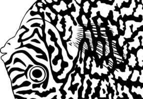 artístico motivos modelo inspirado por Symphysodon o disco pez, para decoración, florido, fondo, sitio web, fondo de pantalla, moda, interior, cubrir, animal imprimir, o gráfico diseño elemento vector