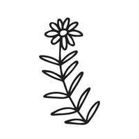 Vector summer flower illustration. Cute daisy flower sketch