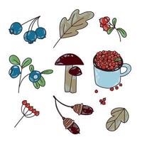 A set of vector images drawn by hand, cranberries, mushrooms, a mug with berries, acorns and blueberries, leaves on a white background. Suitable for decoration and creativity, packaging.