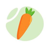 Orange carrot on light green background vector