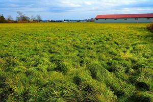 Scenery of Grass Field with Farm Background in the Autumn. photo