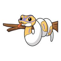 Cute banana pied ball python cartoon on tree branch vector