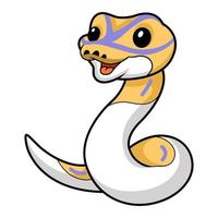 Cute banana pied ball python cartoon vector