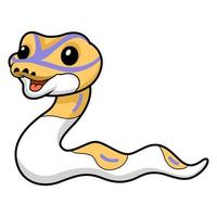 Cute banana pied ball python cartoon vector