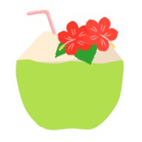 bebida de agua de coco fresca png