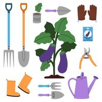 A eggplant bush surrounded by essential gardening tools to help grow eggplants. Shovel, seeds, watering can, gloves, rake, seedlings, pruner and other. vector