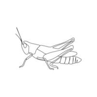 Grasshopper insect in one line drawing style. Minimal hand drawn vector illustration.