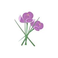 Crocus flowers color vector icon