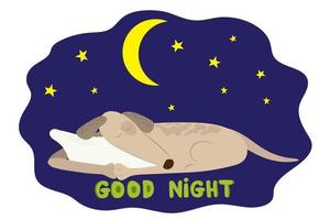 A greyhound dog sleeps hugging a pillow at night under the stars and the moon. Signature Good night. vector