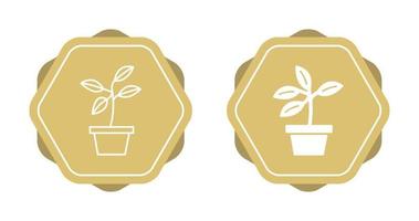 Plant Vector Icon