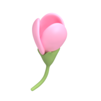 3D icon render spring Cherry flower unopened bud Blossom Sakura illustration. Simple and cute petal isolated transparent png backgroundath